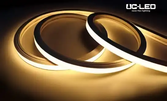 What are the most energy-efficient waterproof LED Neon Flex models?